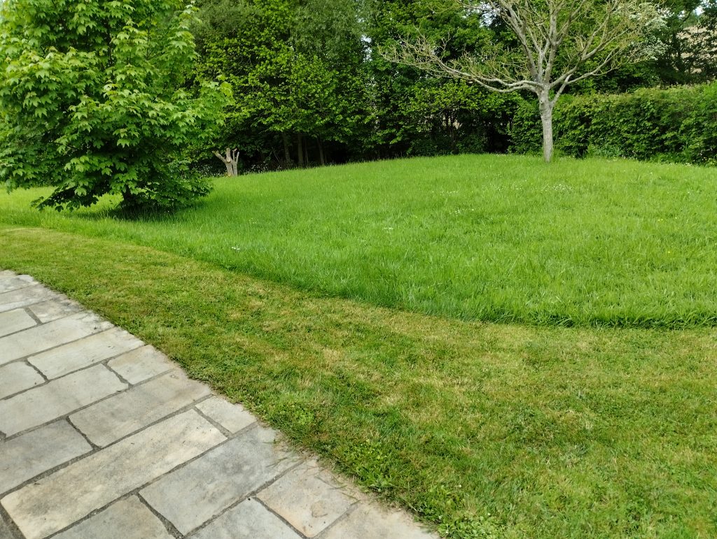 PELOUSE TONDUE TERRASSE